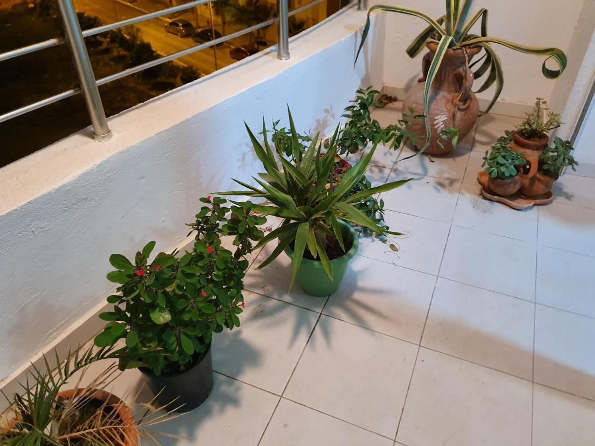 S+1 Jardin De Carthage *